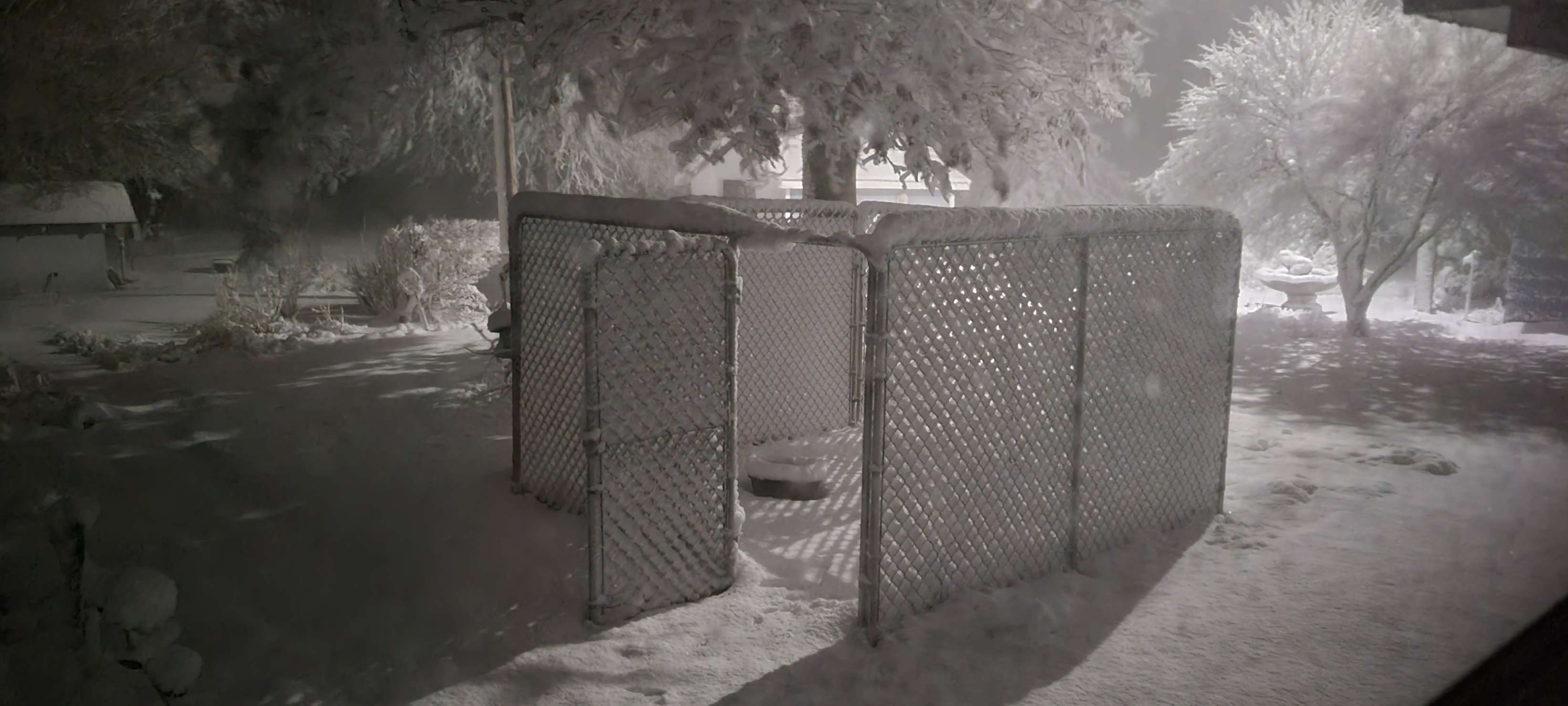 Photo by Ray Bartholomew.