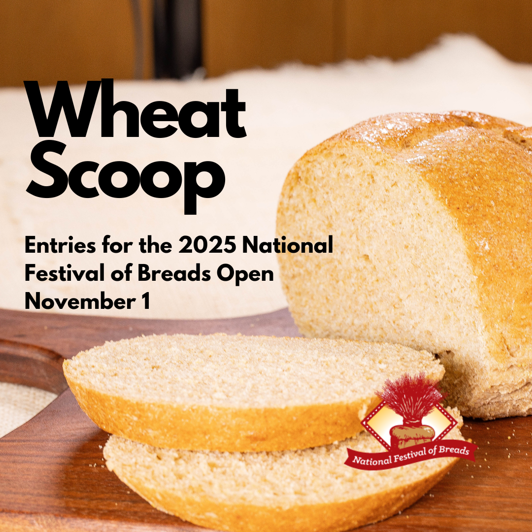 Wheat Scoop Breads