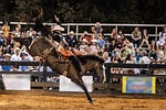 Odin Rodeo Grounds bringing rodeo back to Great Bend Dec. 14
