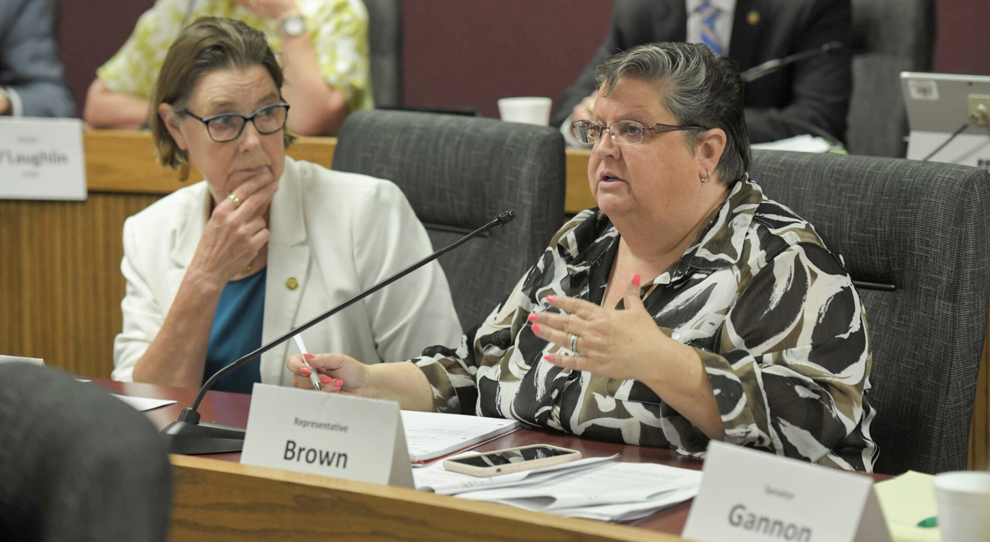 State Rep. Paula Brown, D-Hazelwood, speaks during a July 2021 hearing of the Joint Committee on Education. She is sponsoring a bill to change statewide testing, accreditation and accountability (Tim Bommel/Missouri House Communications).