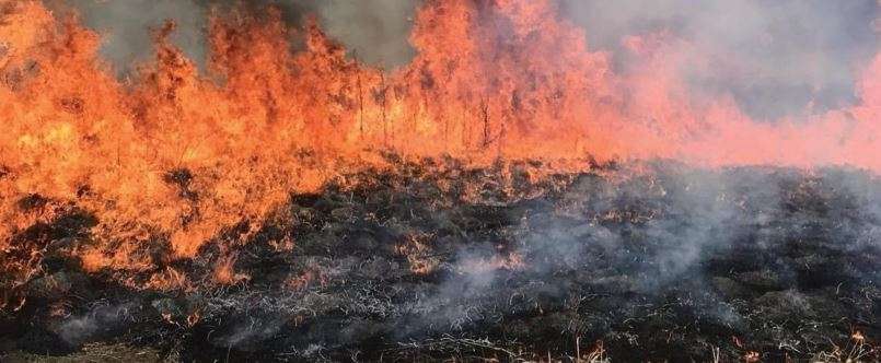 Wildfire Photo Courtesy Kansas Forest Service