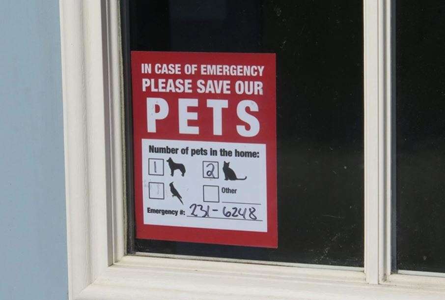 Example of a pet alert window sticker, courtesy of http://www.womansworld.com