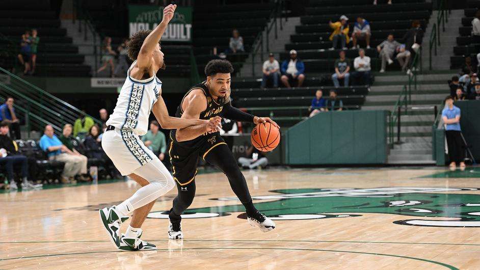 Photo Courtesy Wichita State Athletics