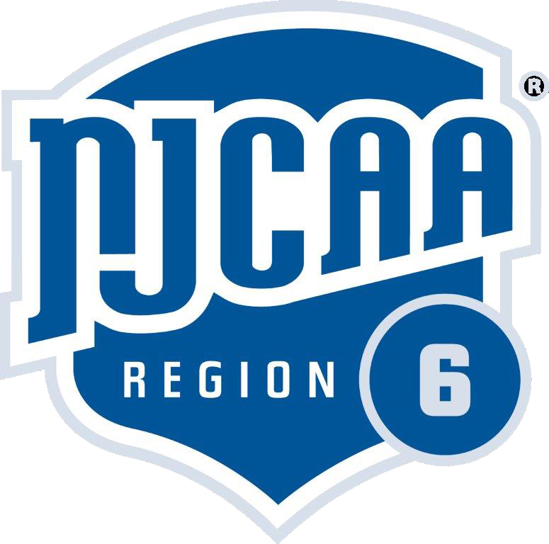 Region VI logo