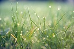 Lawn maintenance should start now