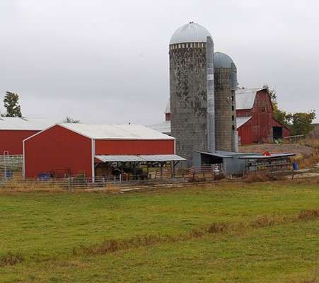 Report: Kansas Farm Income Outlook comparable to 2023, say K-State economists - Vimarsana News