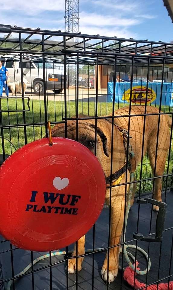 The first 2024 Adopt-A-Pet event was on Saturday, May 11, 2024. 