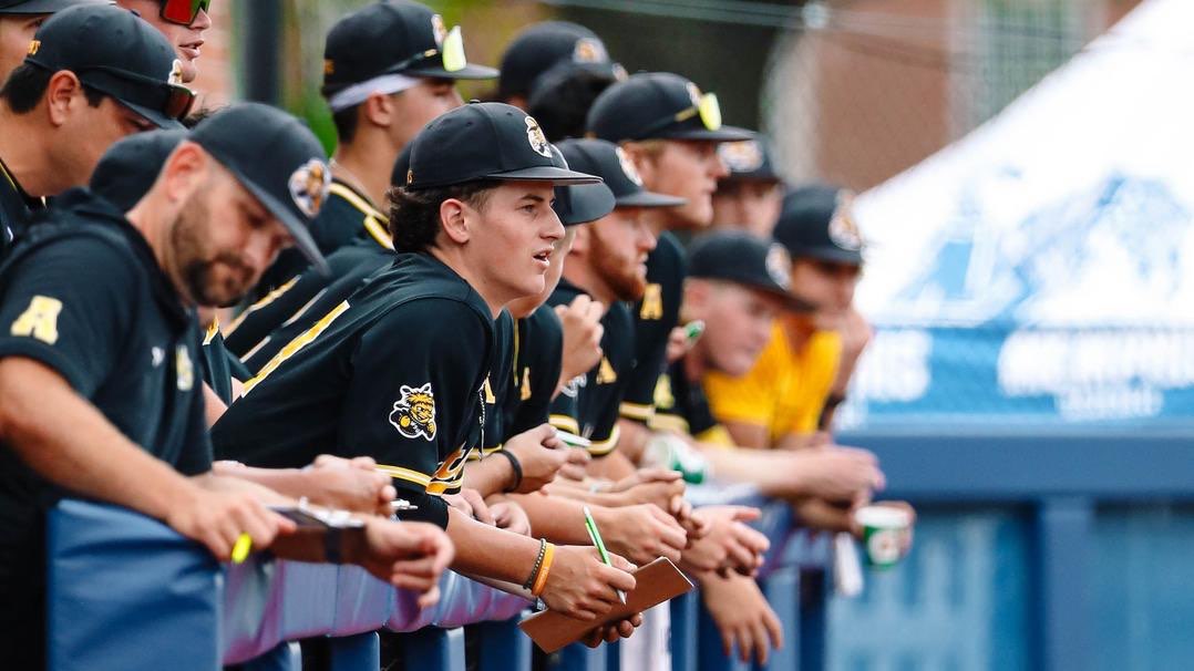 Photo courtesy of Wichita State Athletics&nbsp;