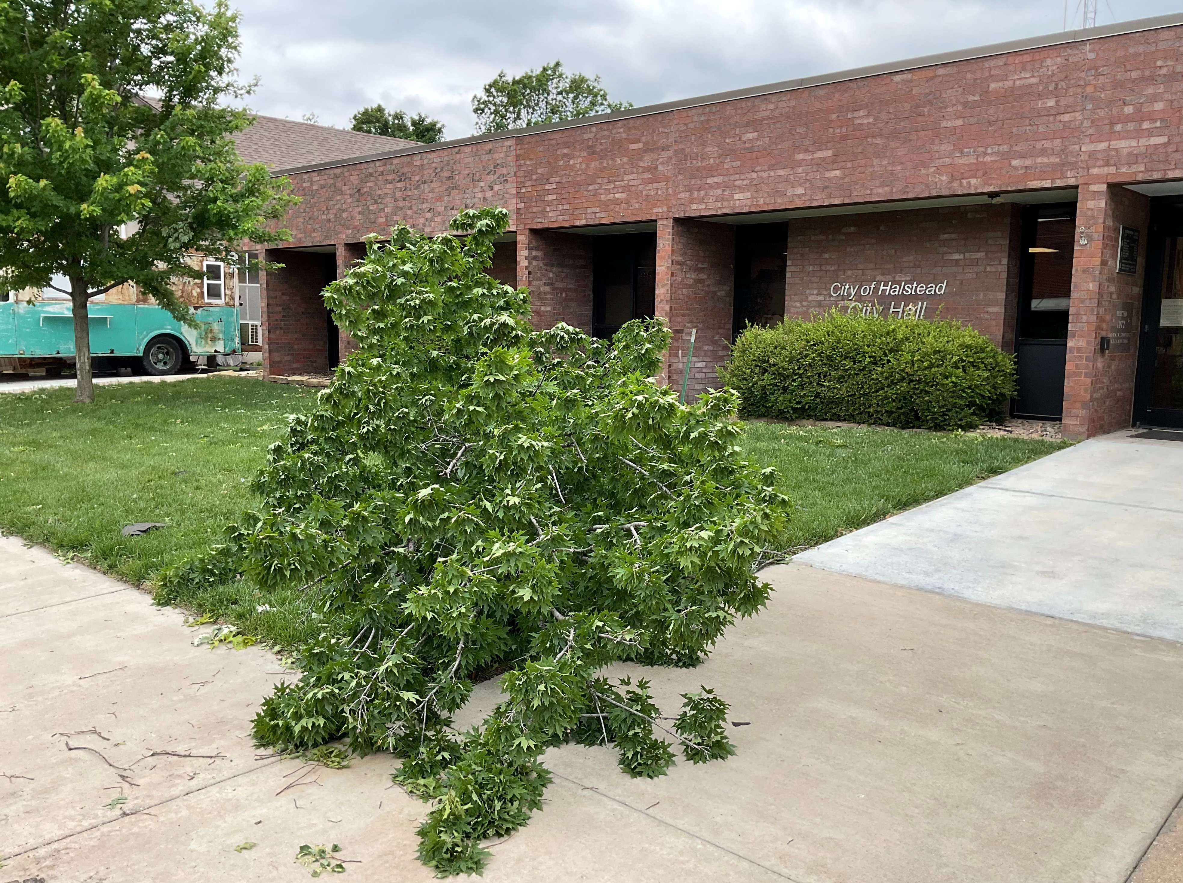 A large tree limb is laying on the ground of&nbsp; City of Halstead City Hall. Halstead was hit with a severe thunderstorm on Sunday, May 19, 2024. Photo by Emmie Boese
