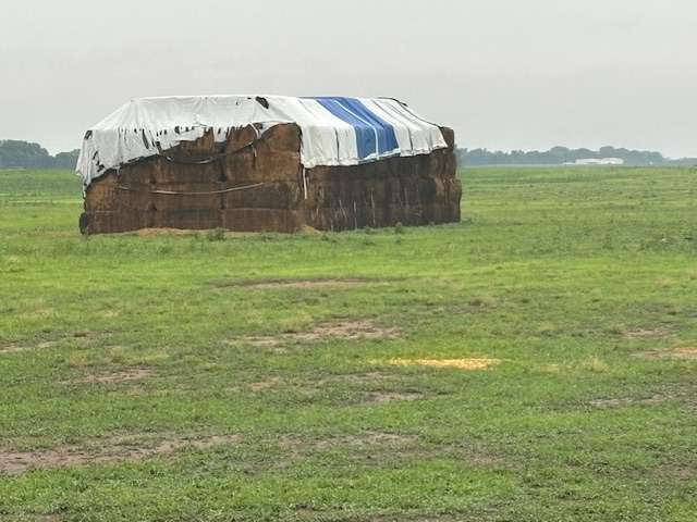 Stack of hay adjacent to the one that burned. The stack that burned in rural Barton County was similar in size.