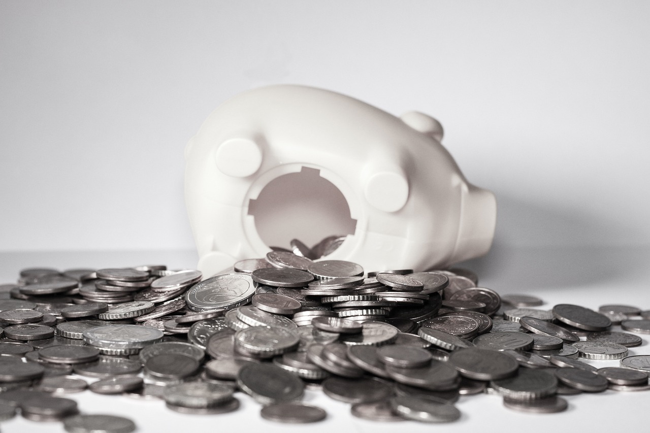 money, piggy bank, coins
