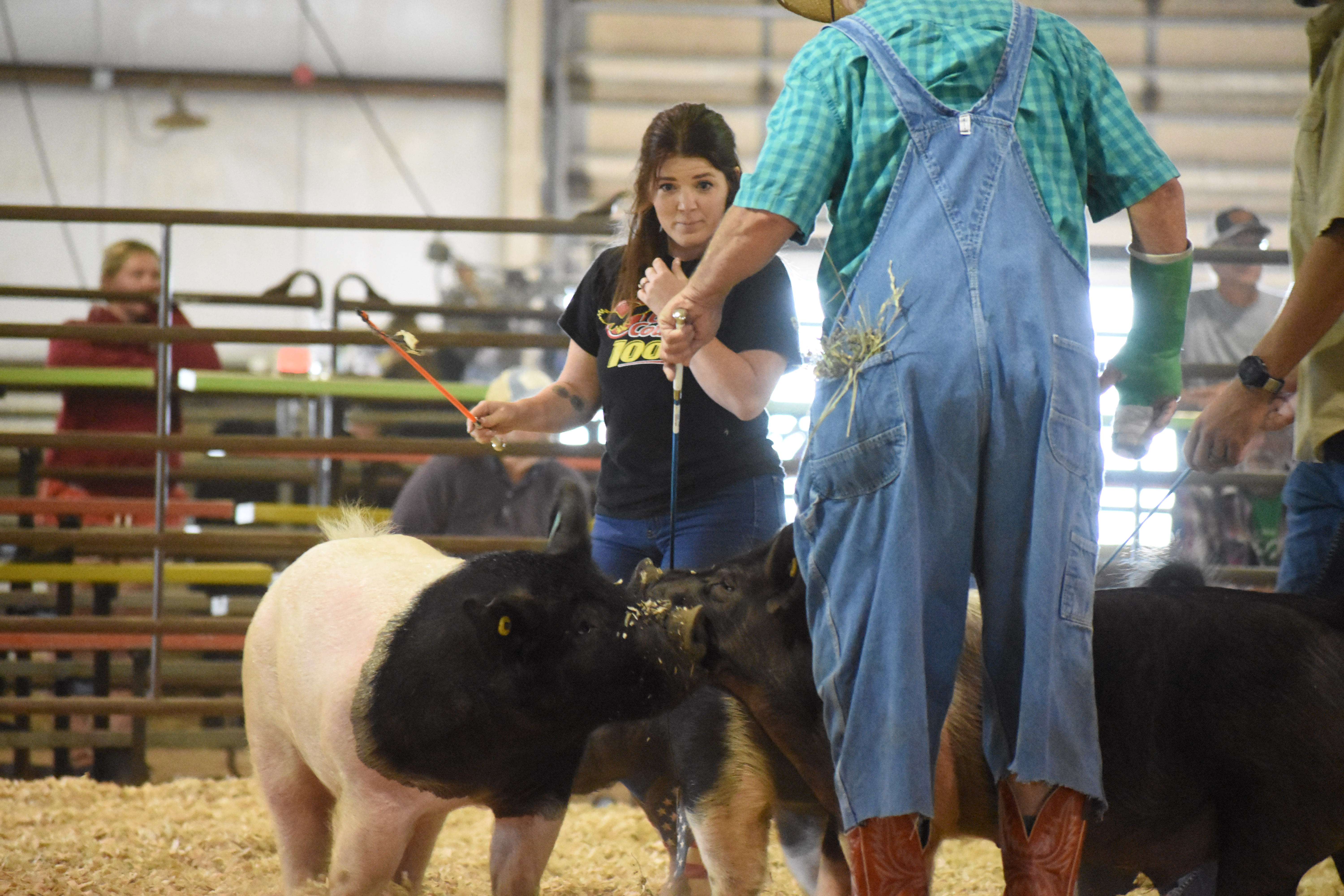 Despite some issues with her pig, Tank, Eagle Radio's Shannon Towns worked herself into a tie with coworker Becca Tudor.