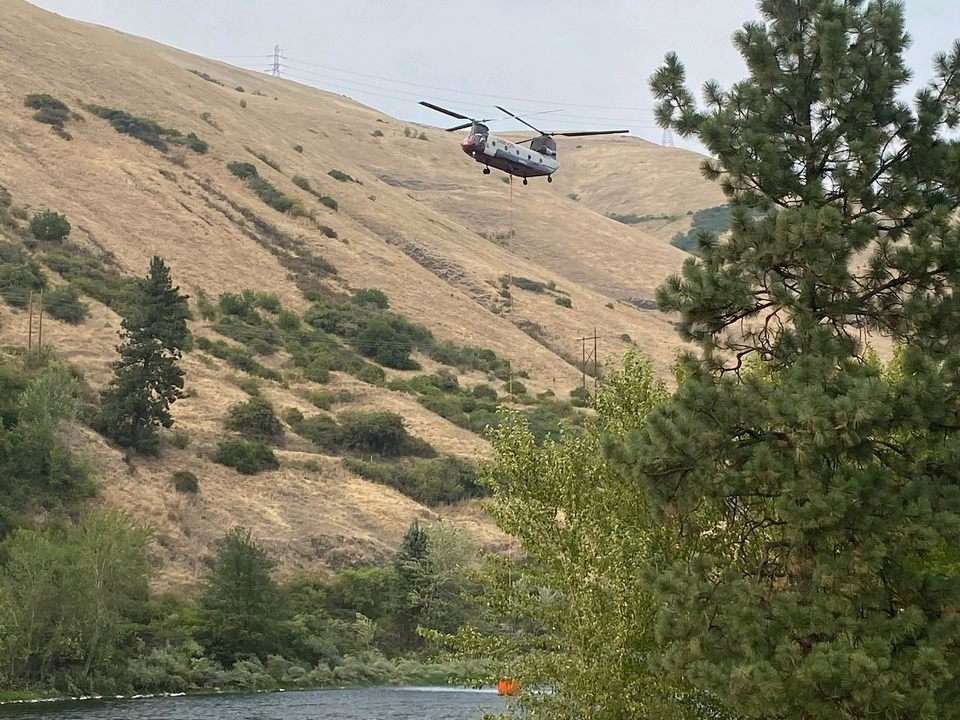 Image Courtesy Idaho Department of Lands
