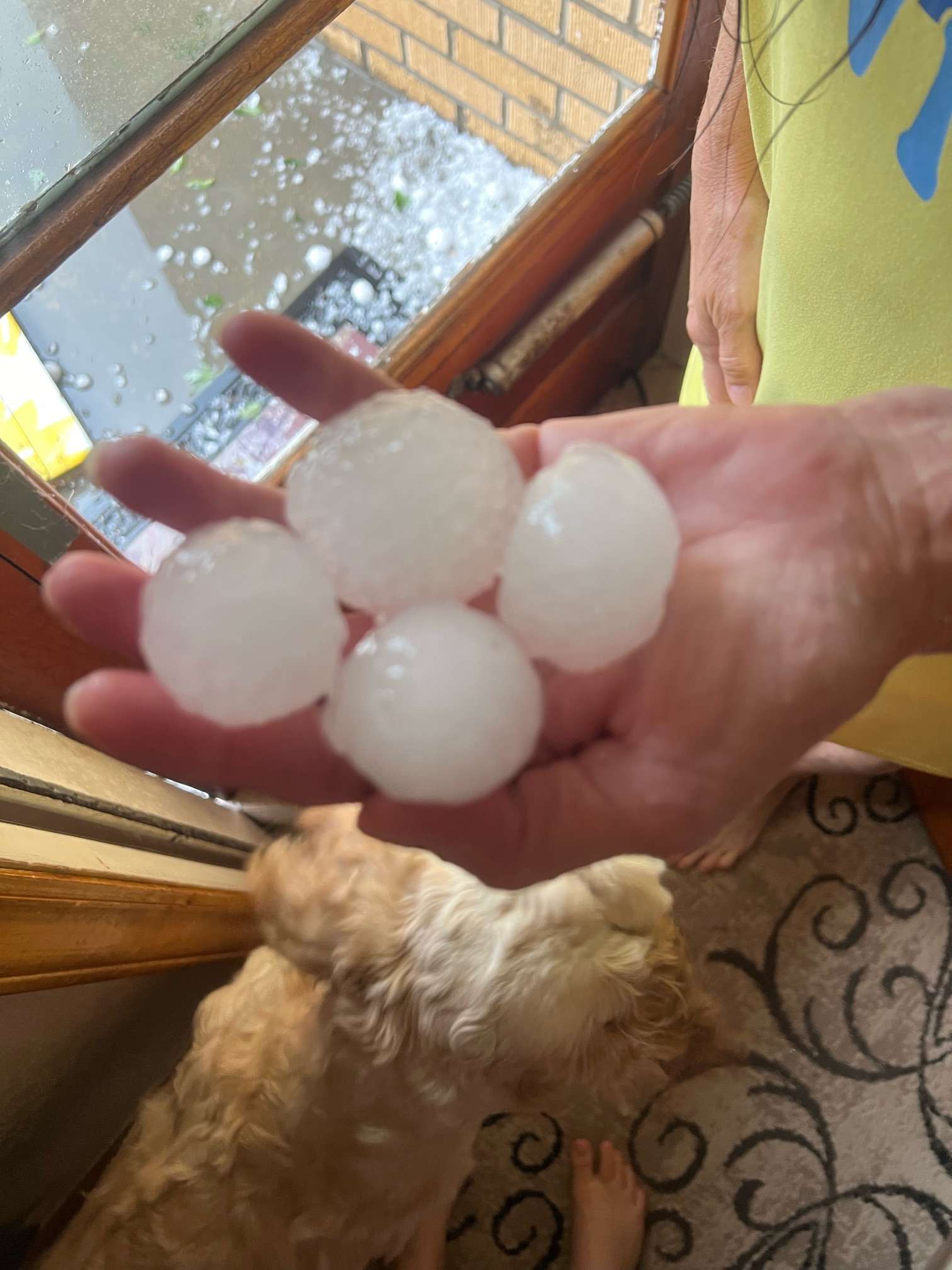 Hail stones collected by Kirsten Gabel.