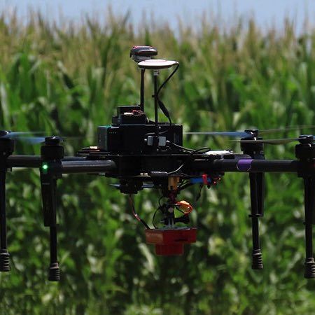 K-State Research and Extension&nbsp;&nbsp;