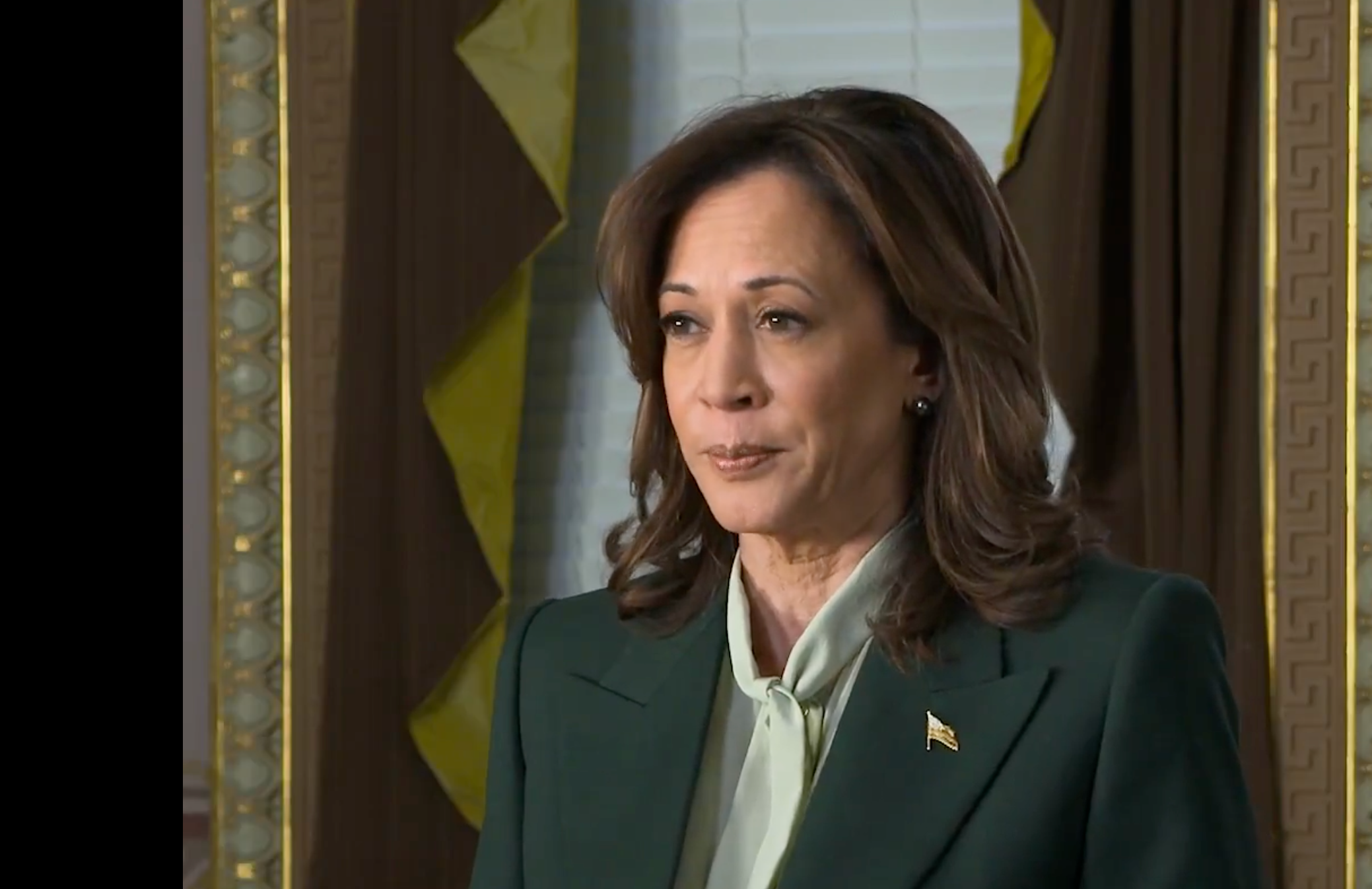File image-Former Vice President Kamala Harris from campaign 2024 video