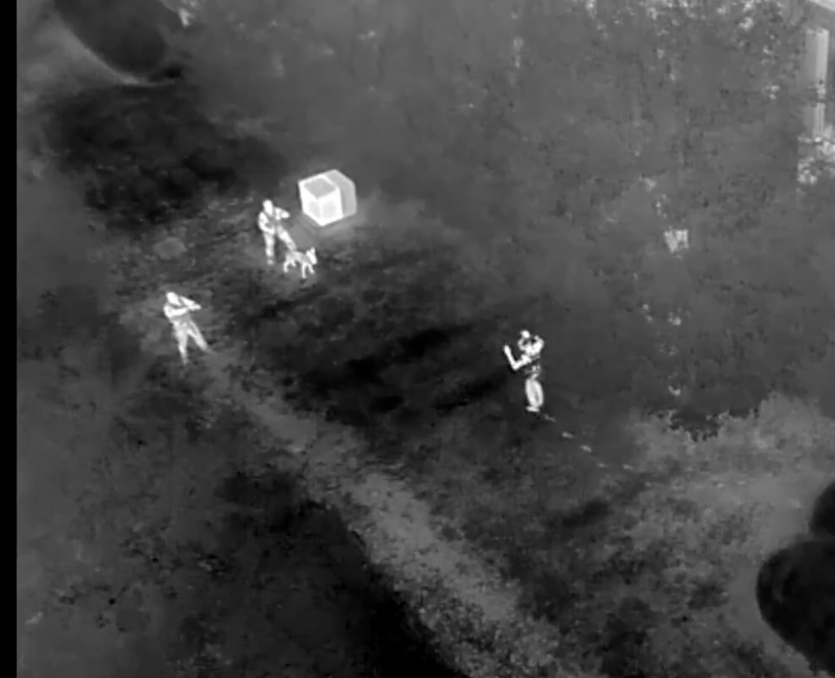 Image from Lenexa Police video
