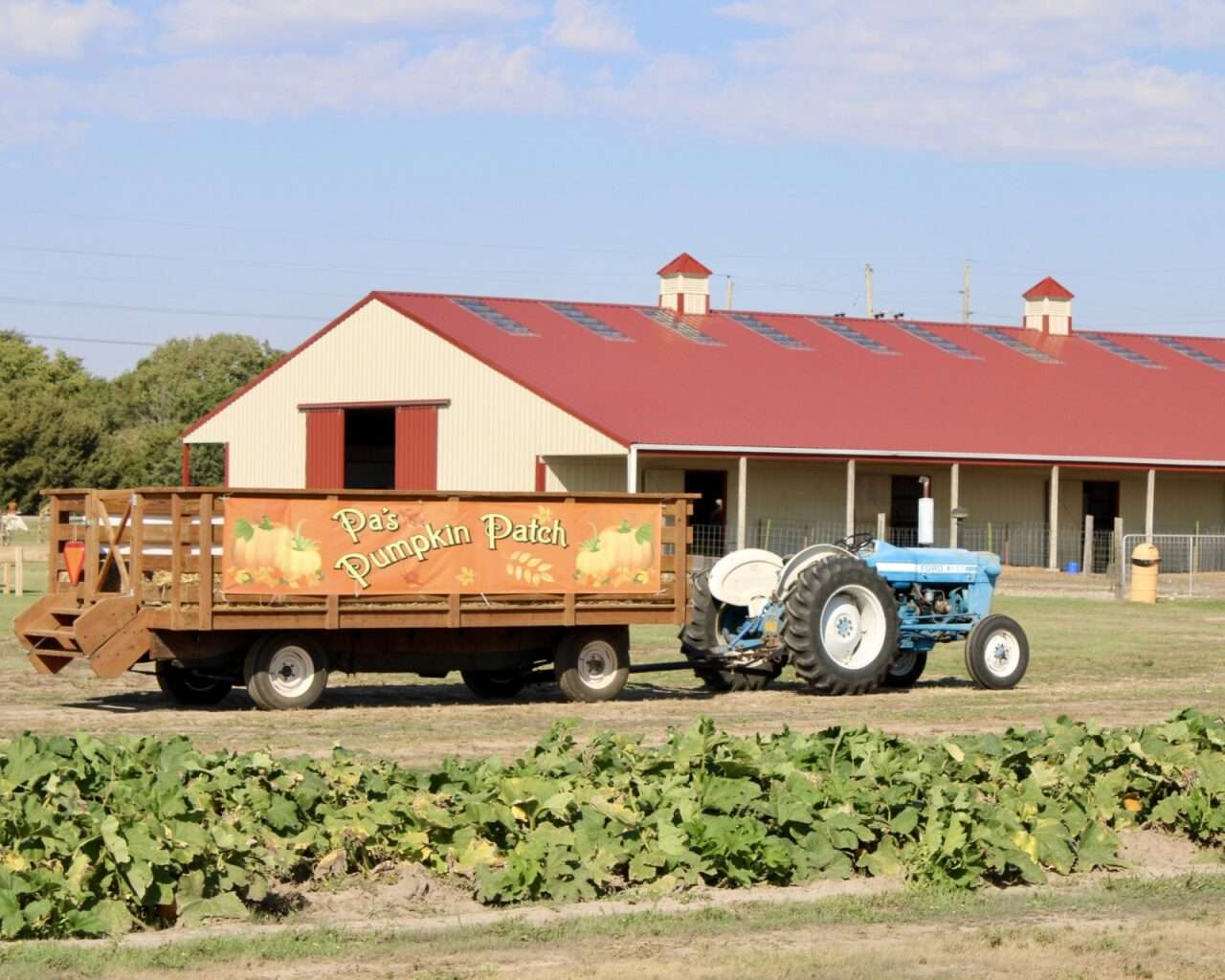 A tractor and trailer at Pa's Pumpkin Patch in Hays. Photo by Tony Guerrero/Hays post