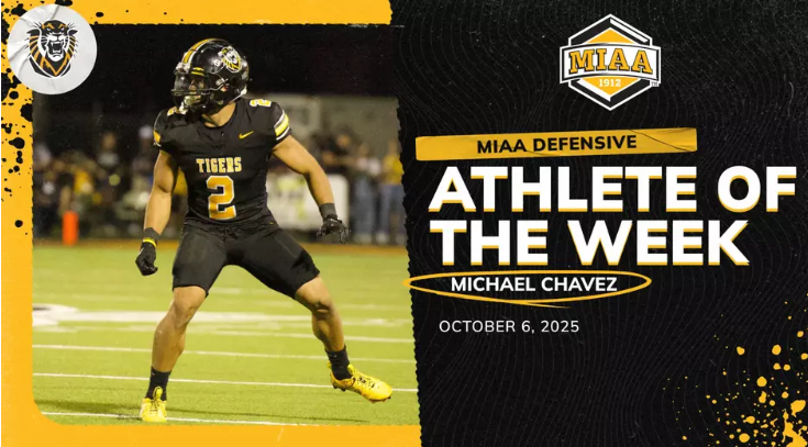 FHSU Athletics image