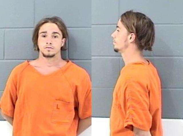 Alexander Wilson, Unlawful damage to property; Theft- all other, arrested 10/05
