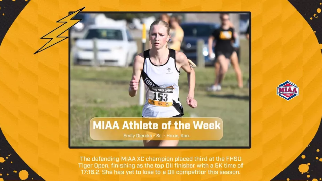 FHSU Athletics image
