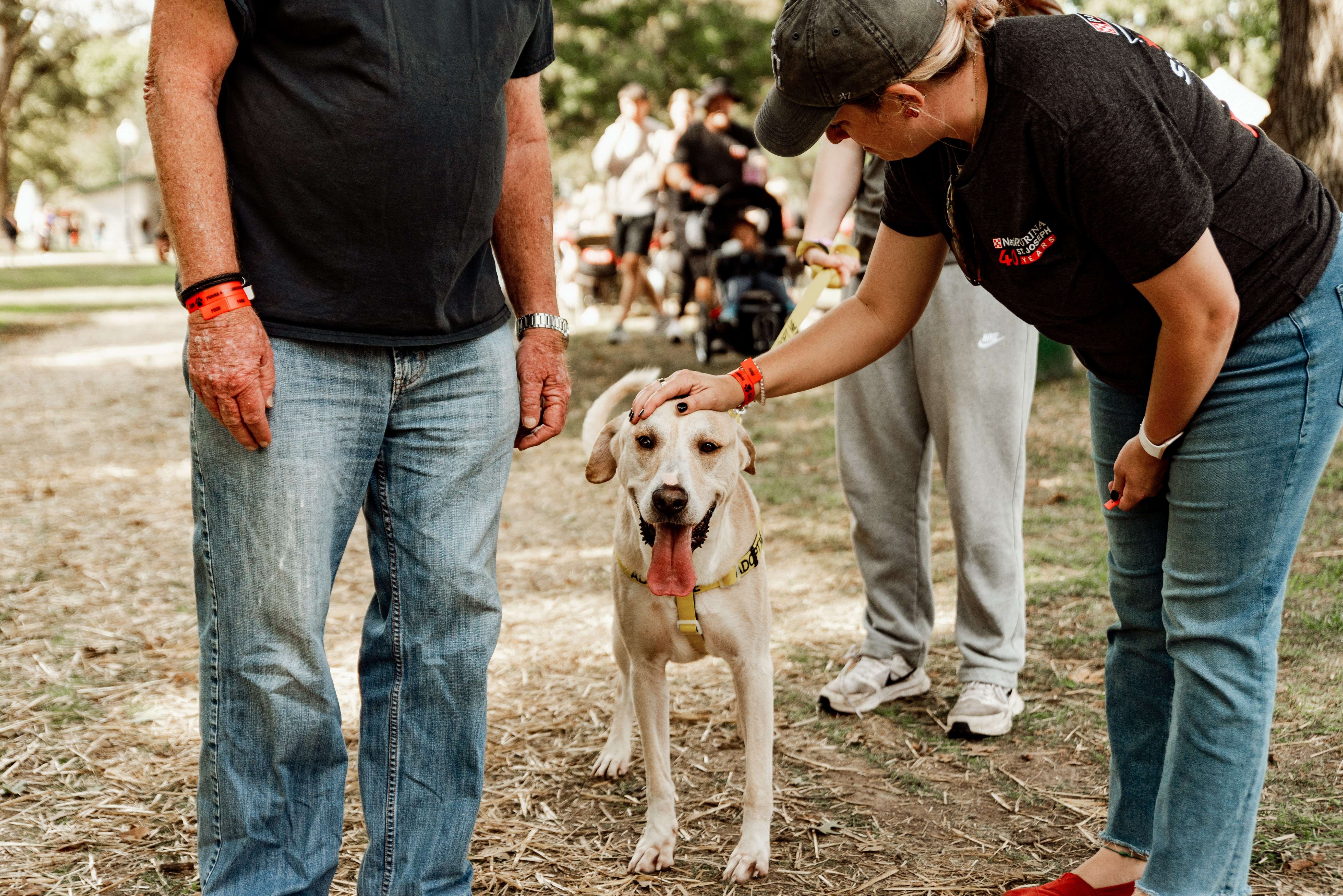 Photo courtesy of Purina