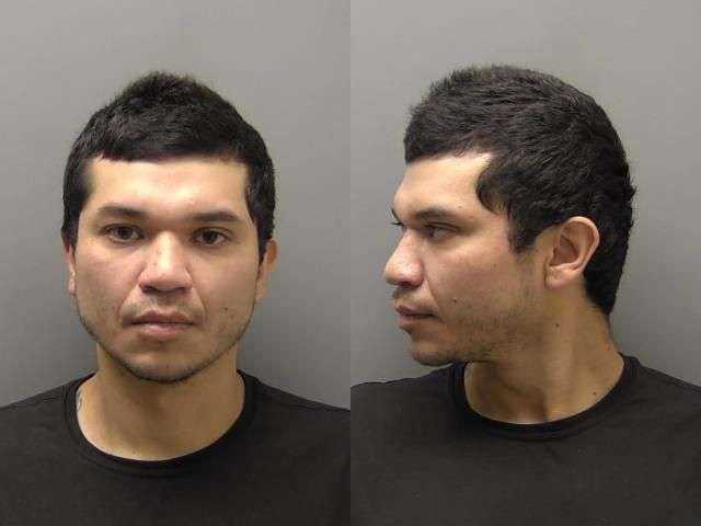 MORADO ROY DWI 5000 BOND