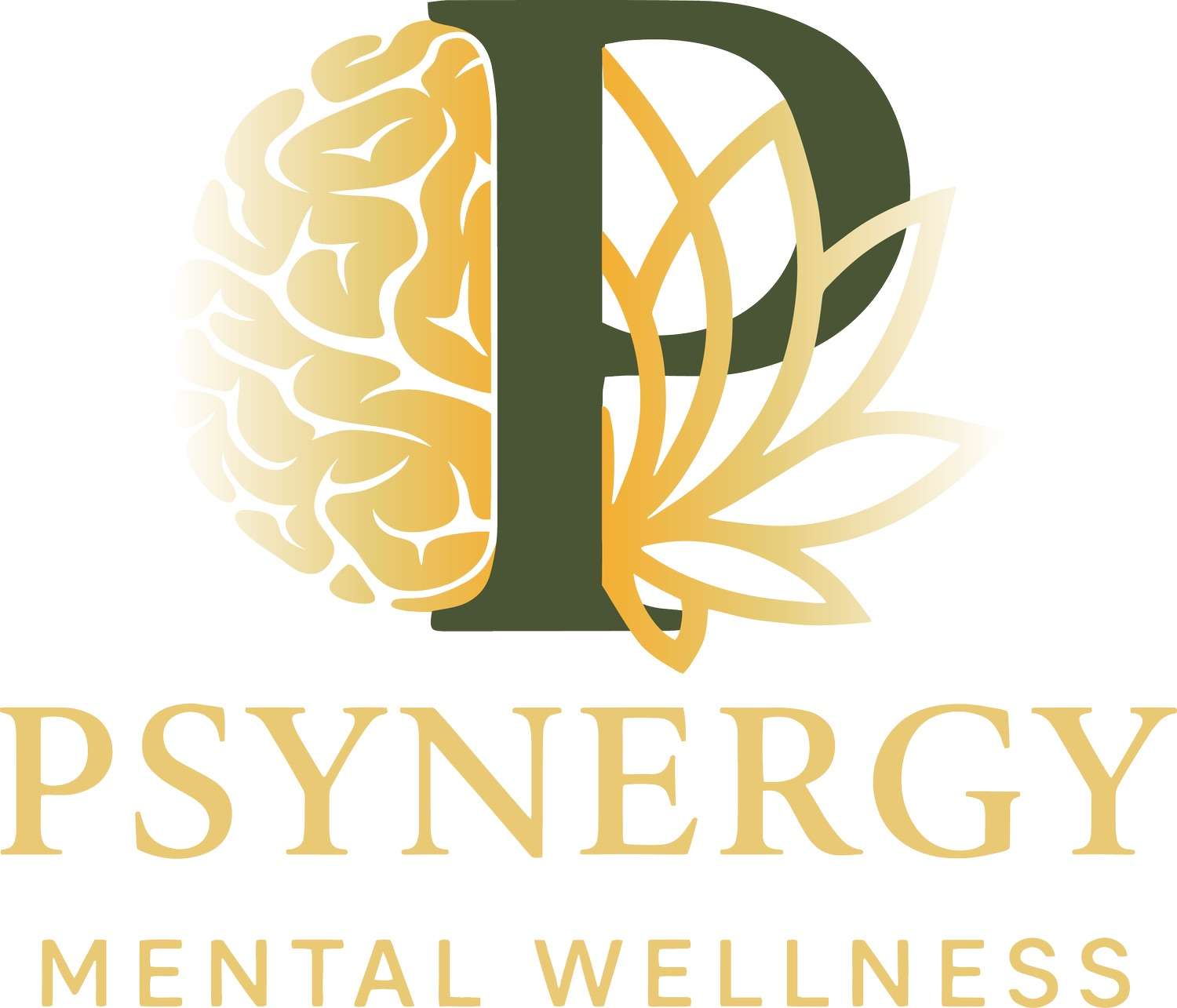 Psynergy Mental Wellness located in Salina on 131 N. Santa Fe Ave. Suite 125
