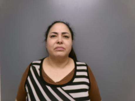 <b>Reyna Orozco-Felix- False Reporting, Leaving the Scene of Accident</b>