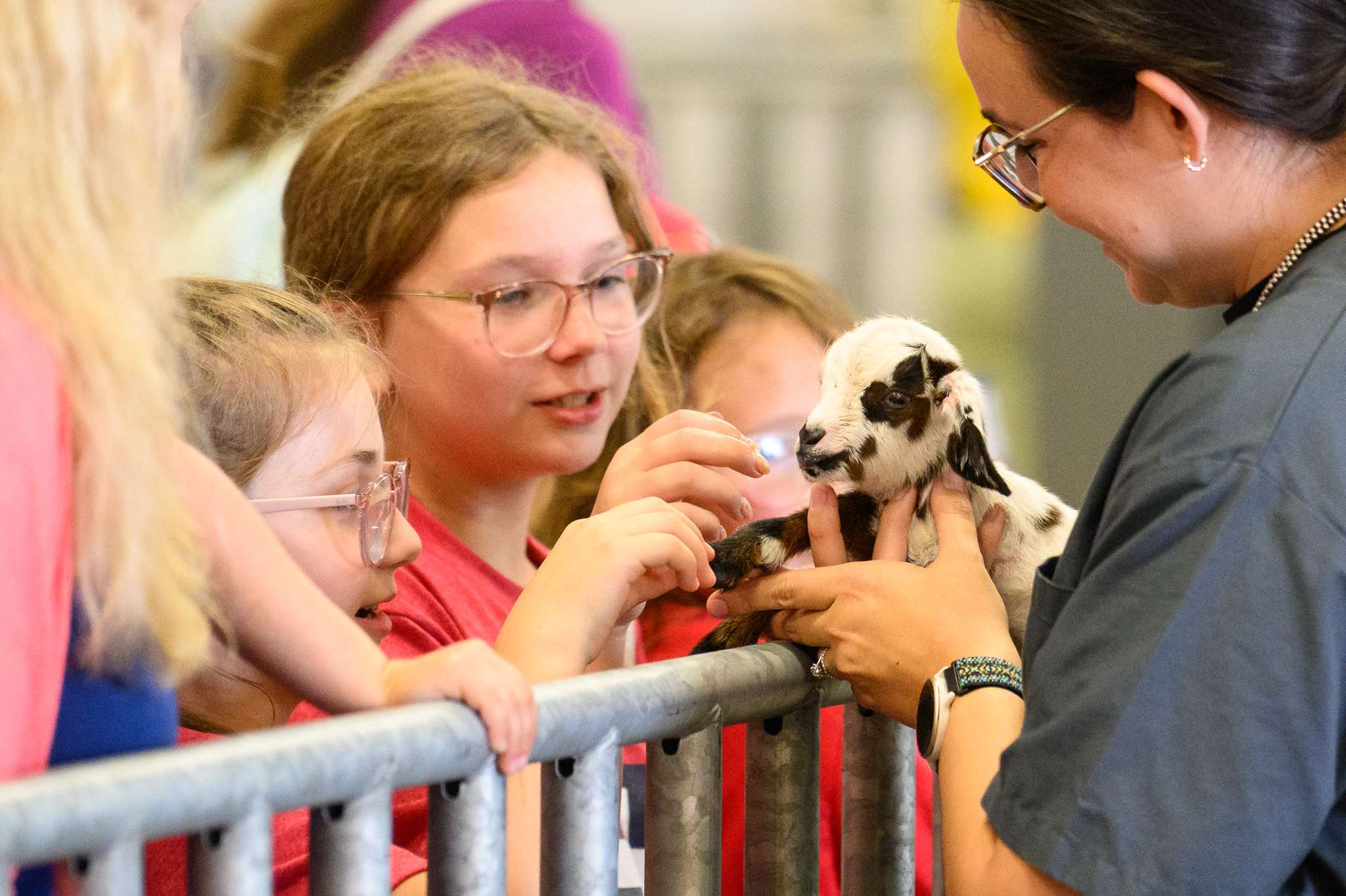 courtesy Nebraska State Fair