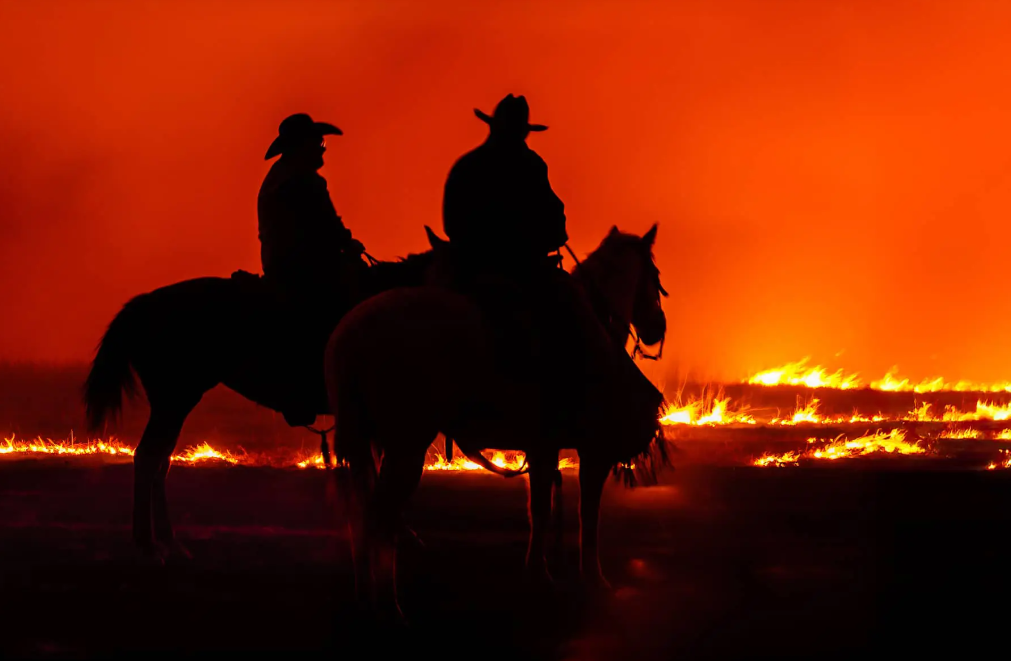 Grand prize winner by Bruce Hogle