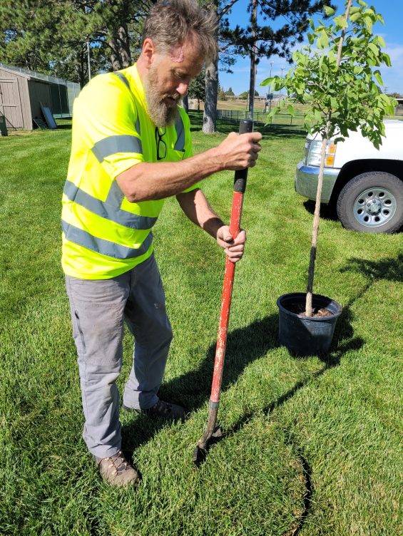 courtesy Alliance Police Department