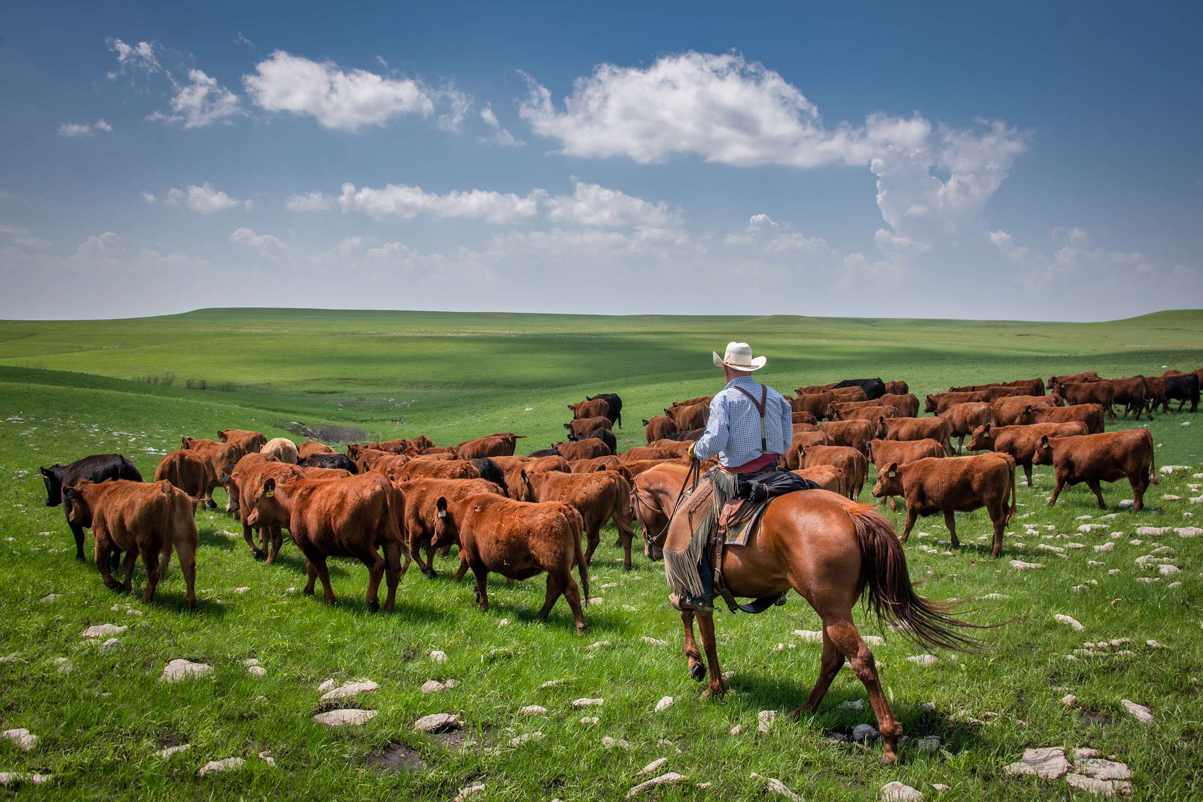 Augusta's Crystal Socha won the fan-favorite vote.