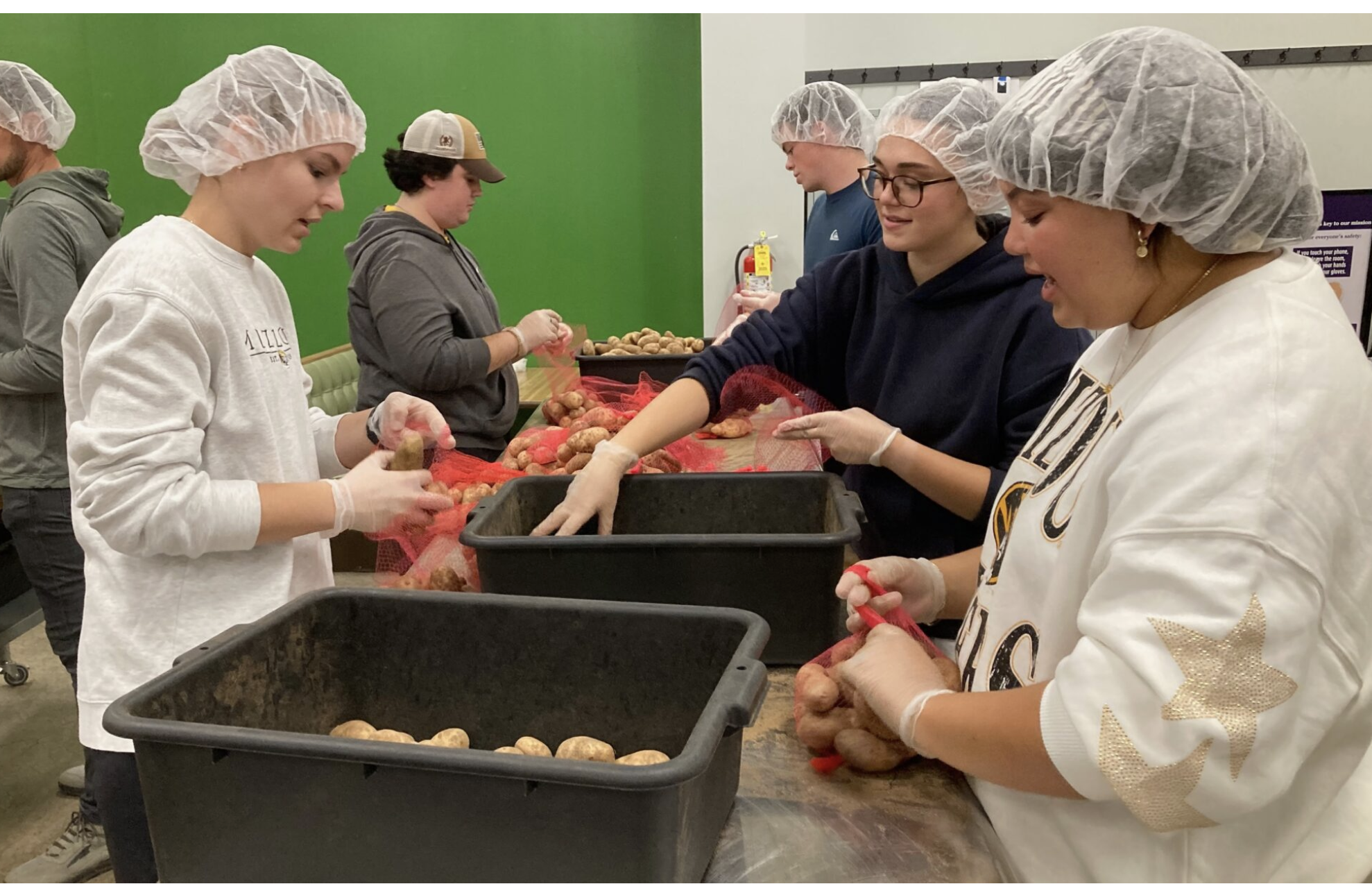 Danielle Dohm, left, Claire Little and Chloe Washington, students at the University of Missouri, sort donated potatoes at the Food Bank for Central & Northeast Missouri in Columbia last week (Steph Quinn/Missouri Independent).