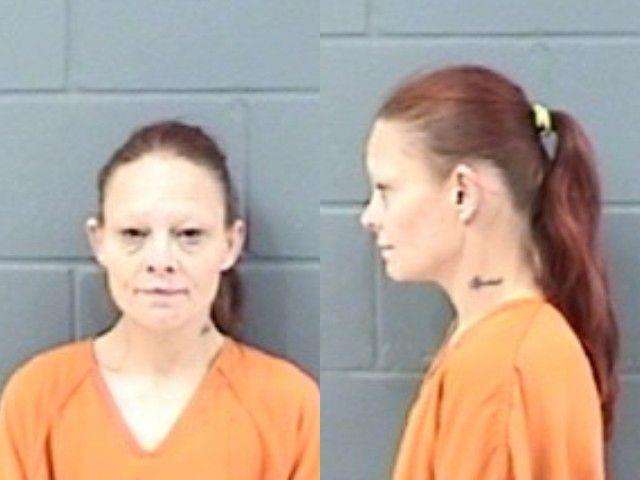 Danielle Jones, Possession of opiate, opium, narcotic or certain stimulant; Possession of marijuana (2 or more prior convictions); Violate offender registration act (2nd conviction), arrested 10/28