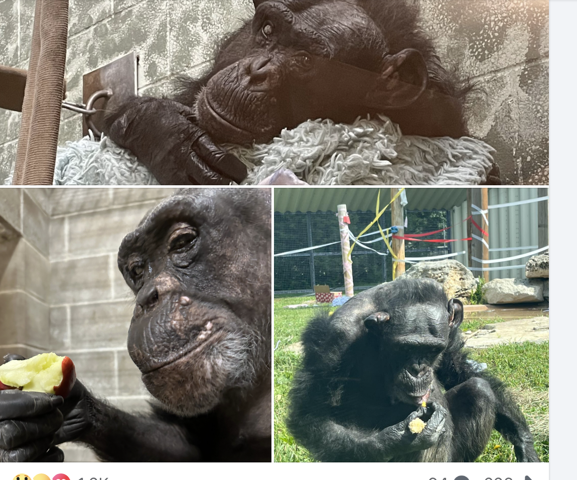 Photos courtesy Sunset Zoo