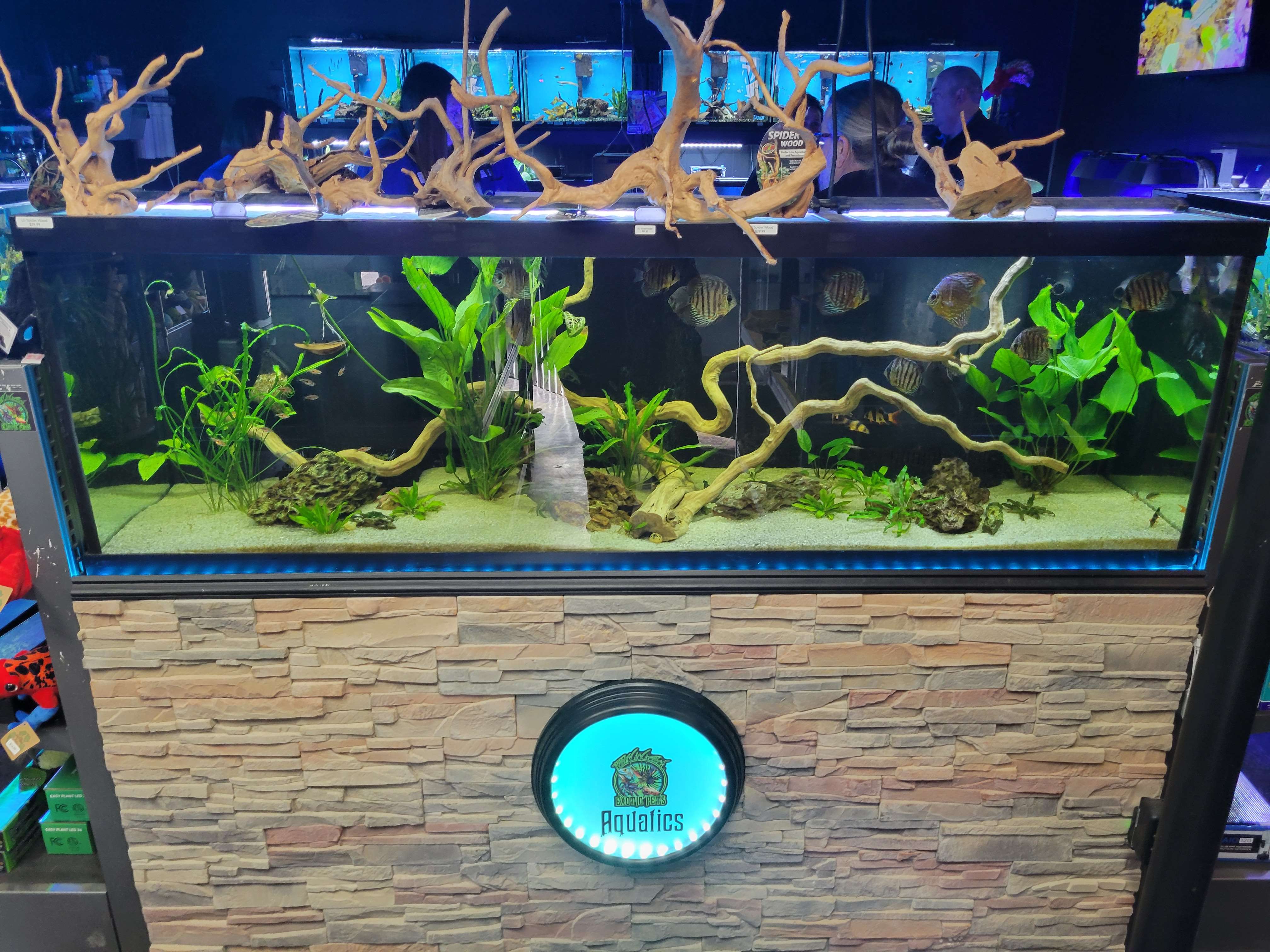 Photo by Jacob Brown.