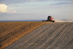 US farmers face $44 billion in losses as costs rise and markets shrink