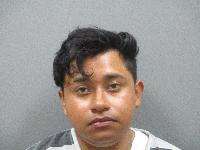 <b>Leon Damien-Flores - Driving Under Influence Liquor, Refusal to Submit Breath-Chem Test, Immigration</b>