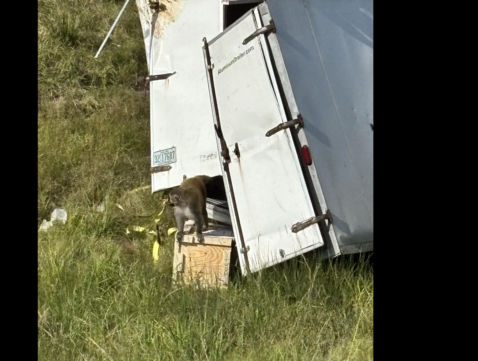 Photo by the Jasper County, Mississippi Sheriff just after truck accident