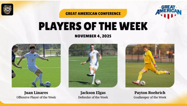 FHSU Athletics image