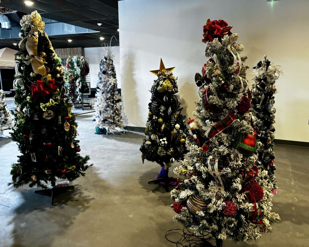 Several Christmas trees for the Hays Arc Recycled Reindeer Christmas Market Featuring Festival of Trees. Photo by Tony Guerrero/Hays Post