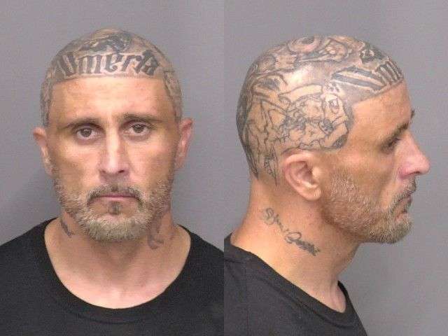 Braun, Bradley Allyn