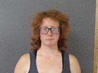 <b>Victoria Willard - Possession of Controlled Substance, Traffic Offenses-Fail to Use Turn Signal</b>