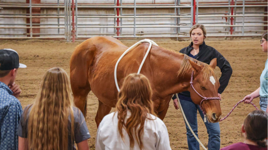 Hanna Rainforth demonstrates equine sports therapy techniques to NCTA students and visitors on the NCTA campus.