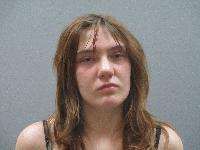 <b>Allison Gruenloh - </b><b>Possession of Methamphetamine, Possession of Methamphetamine with Intent to Deliver, Possession of a Firearm During a Drug Violation, Possession of Burglar’s Tools, Identity Fraud, Criminal Possession of 4+ Financial Devices</b>