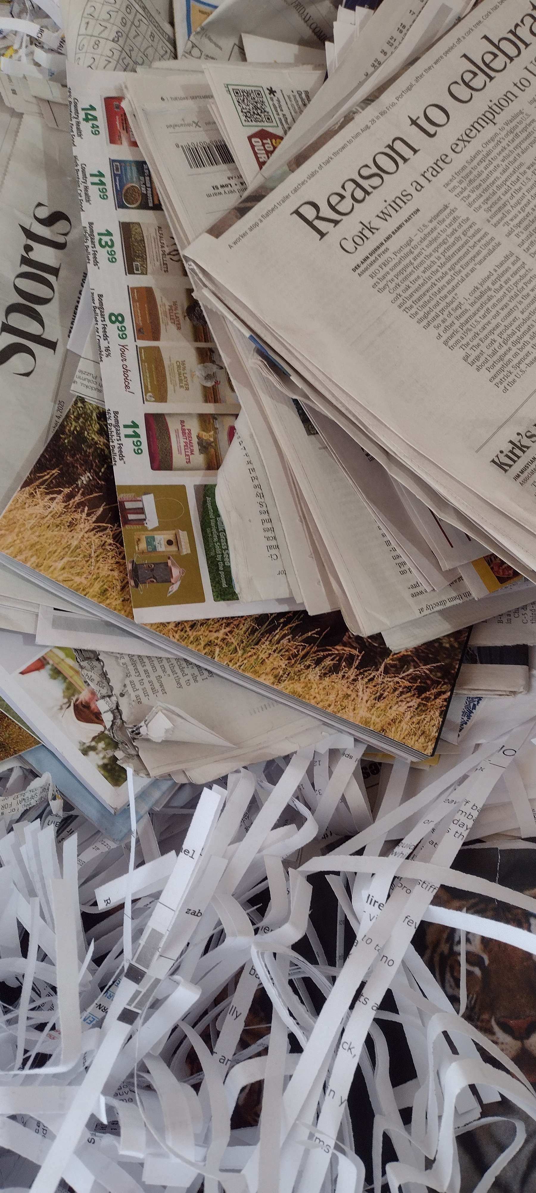 courtesy John Weare (Keep Alliance Beautiful)