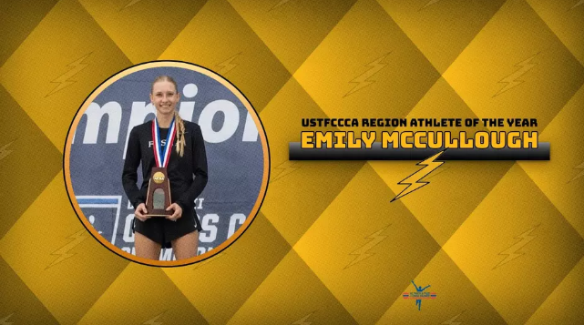 FHSU Athletics image