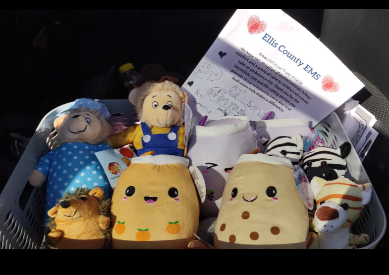 Girl Scout Troop 11298. Courtesy photo&nbsp;