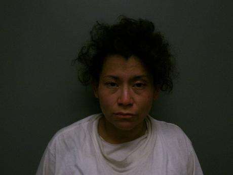 <b>Alondra Solache-Gomez - Vehicle Theft over $5000, Leave the Scene of Property Accident, Leave the Scene of Injury Accident, Driving Under Suspension</b>